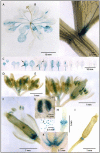 Figure 15.