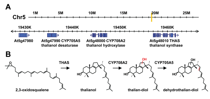 Figure 55.