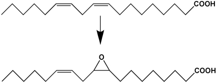 Figure 19.