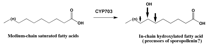 Figure 52.