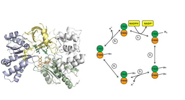 Figure 4.