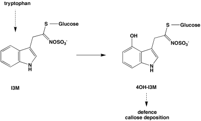 Figure 27.