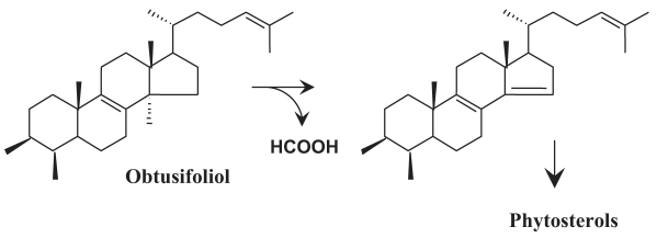 Figure 9.