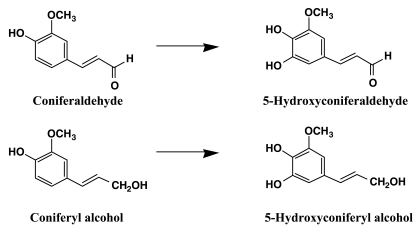 Figure 32.