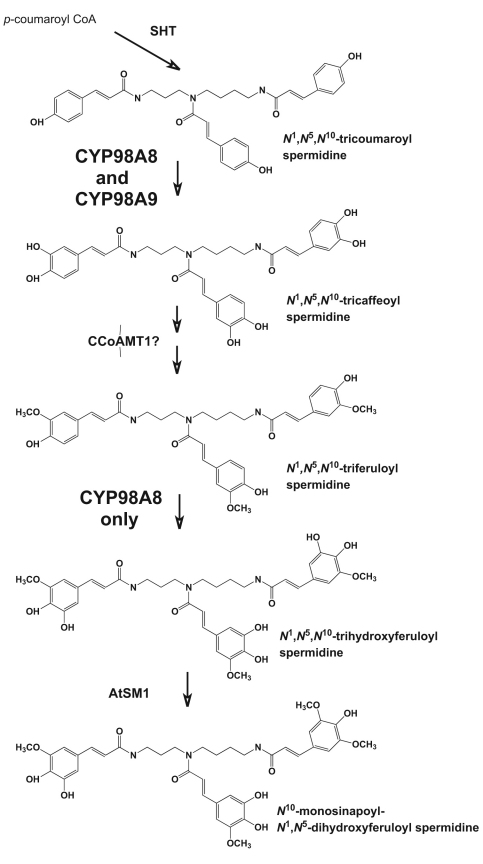 Figure 47.