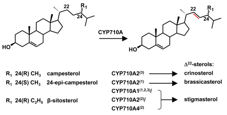 Figure 58.