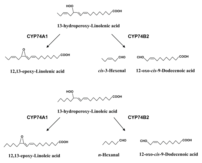 Figure 14.