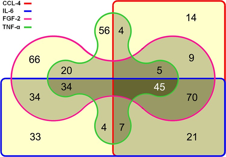 FIGURE 1.