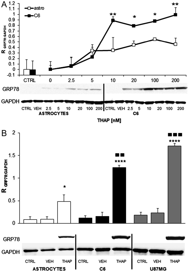 Fig. 1.