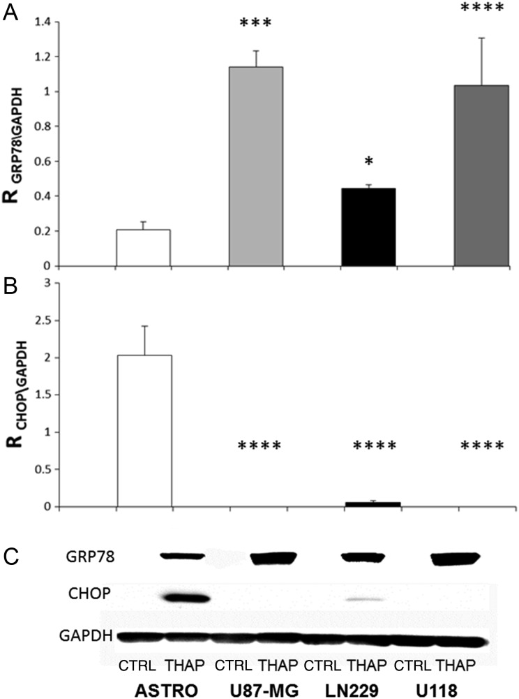 Fig. 3.