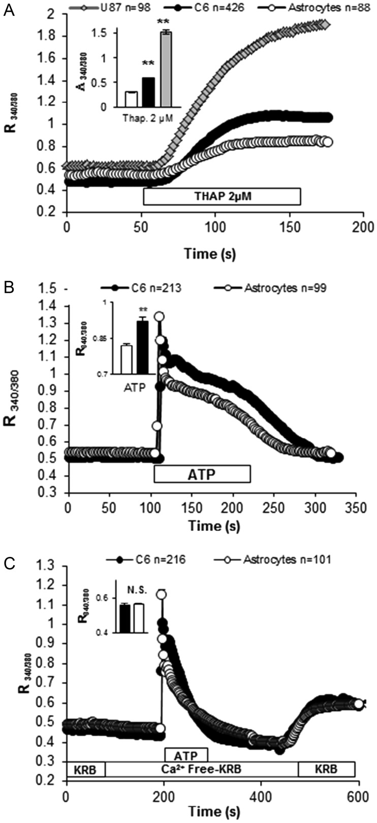 Fig. 7.