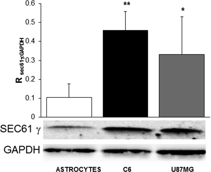 Fig. 8.