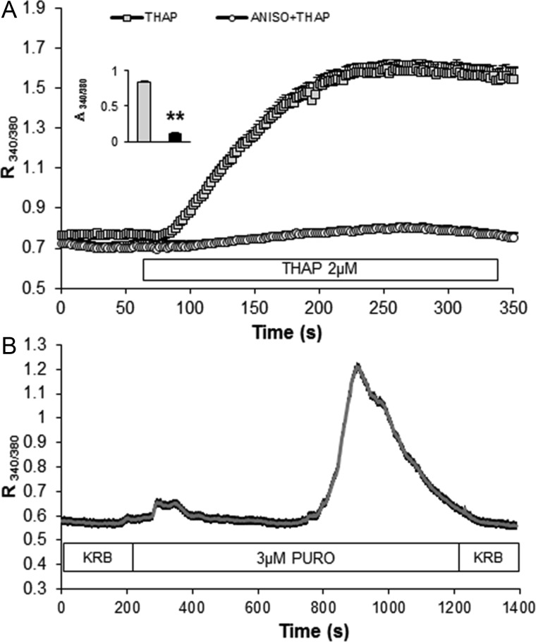 Fig. 9.