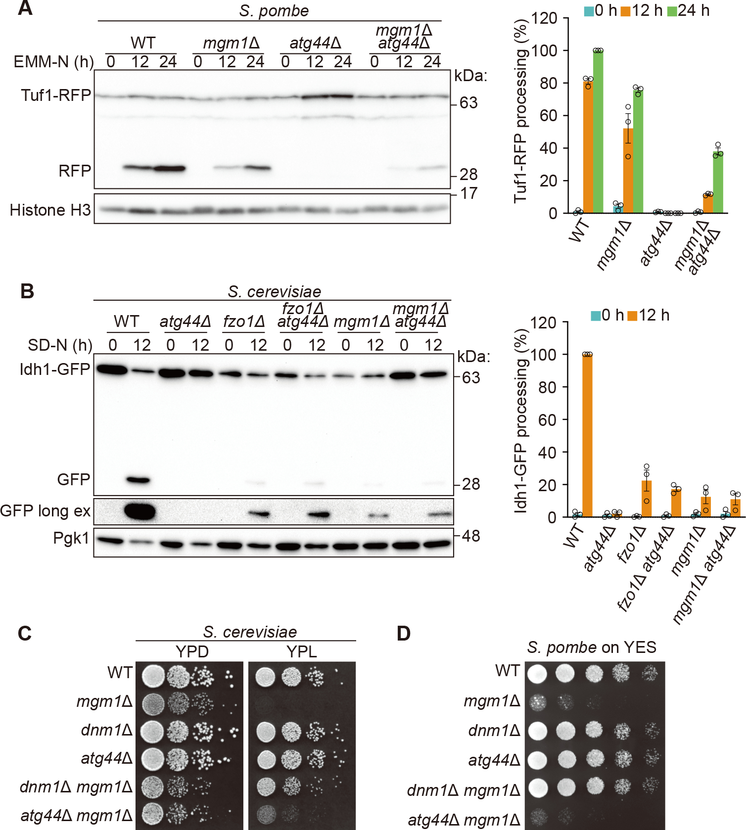 Figure 4.