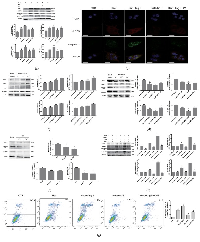 Figure 6