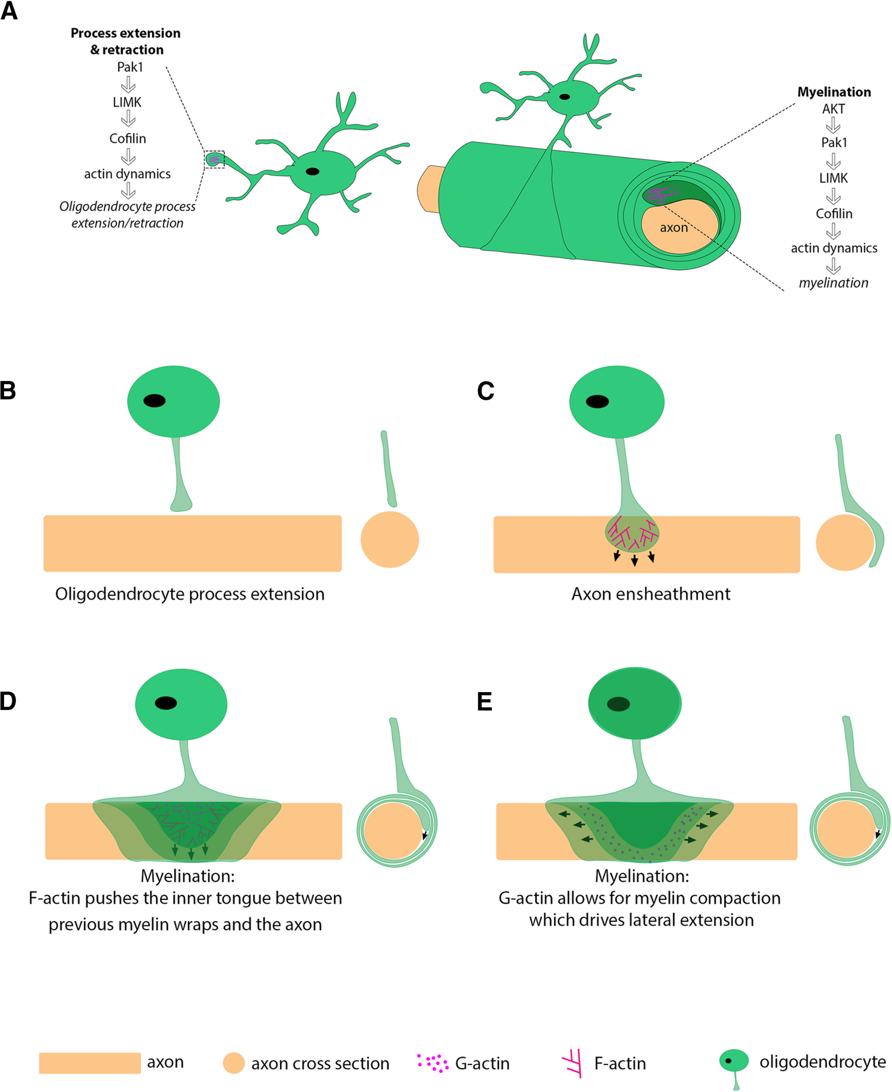 Figure 9.