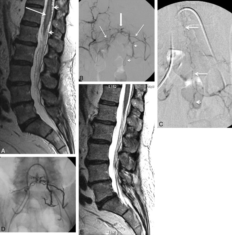 Fig 5.