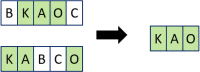 Fig. 10