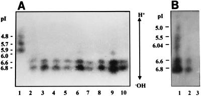 FIG. 5