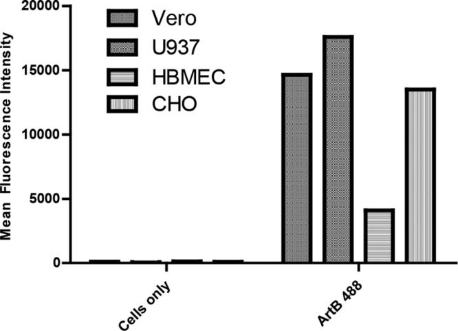 FIG 1