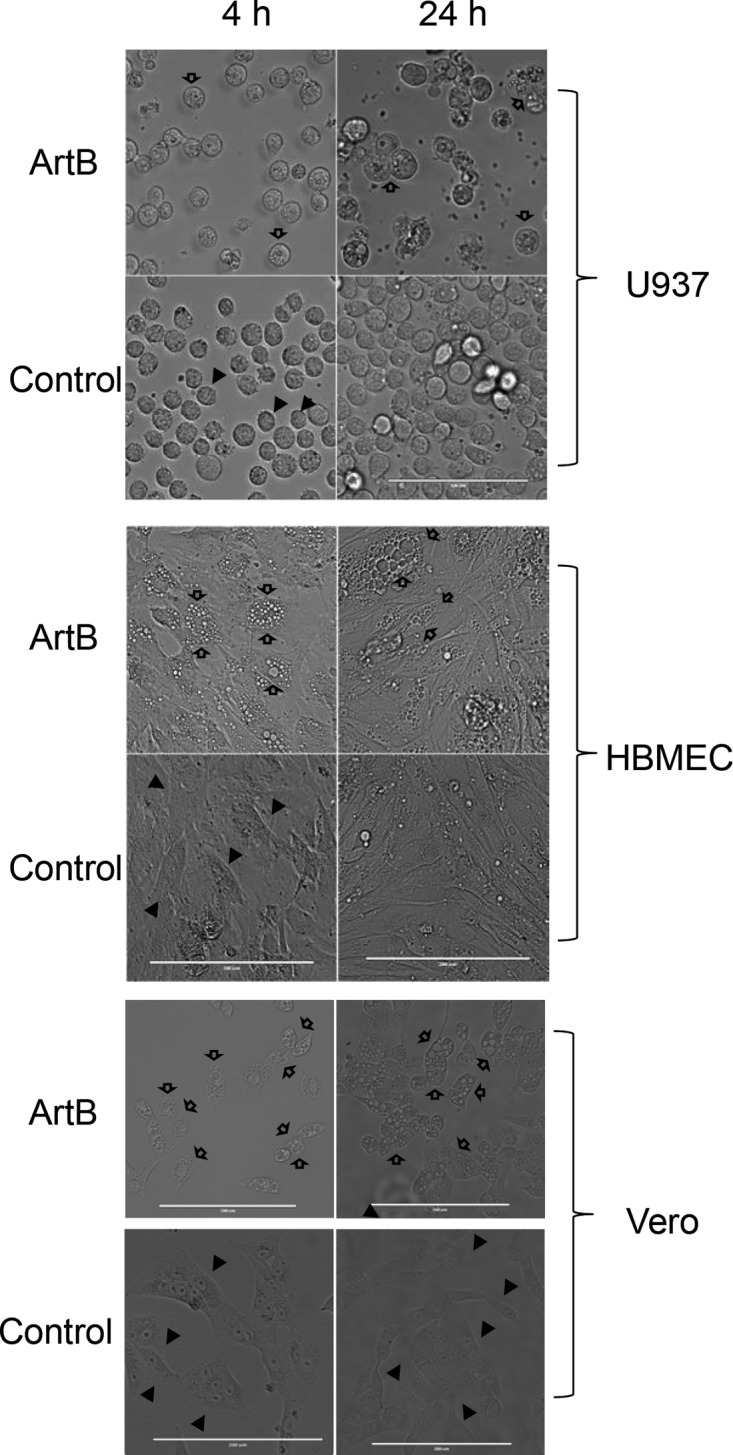 FIG 2