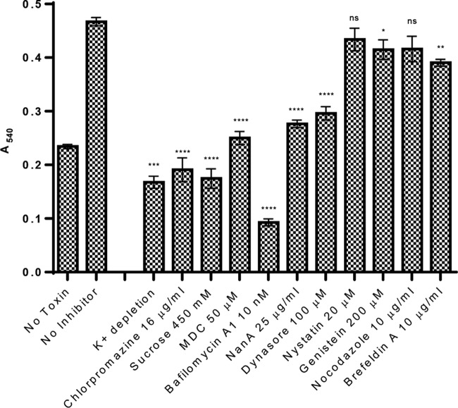 FIG 6