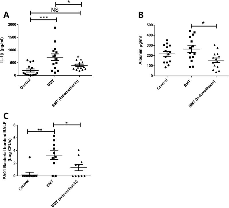 Fig 10