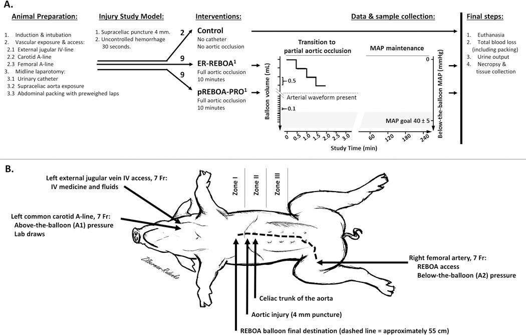 Figure 1: