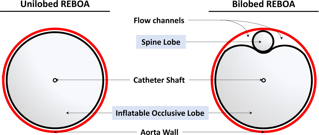 Figure 2: