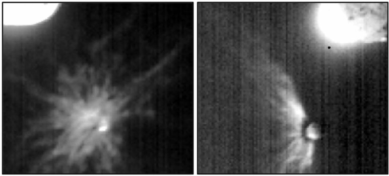 Extended Data Fig. 3