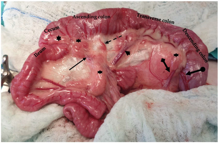 Figure 16