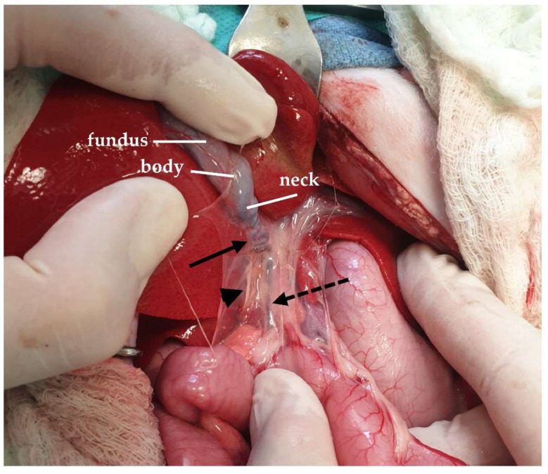 Figure 27