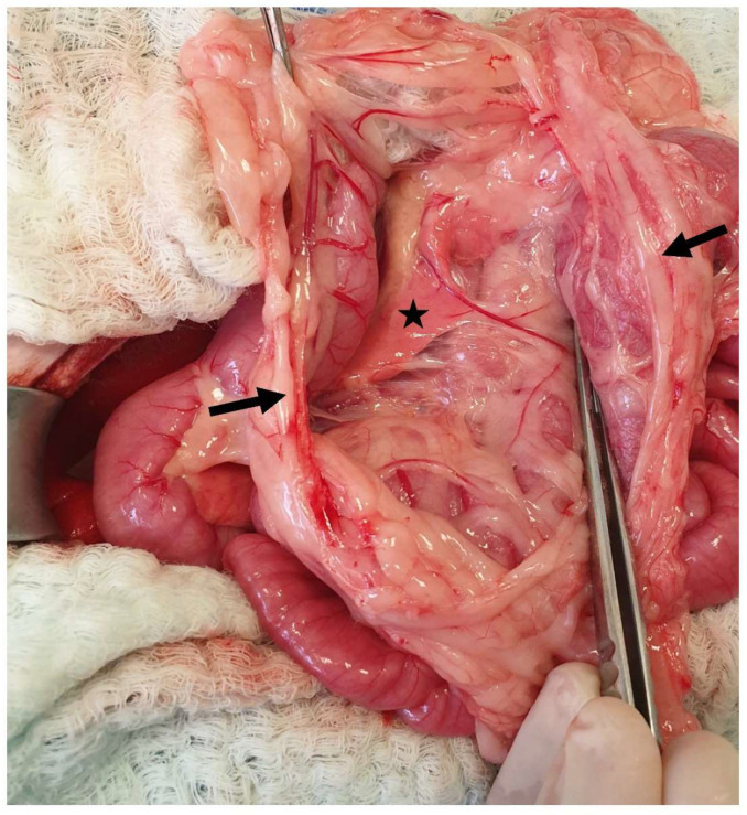 Figure 25