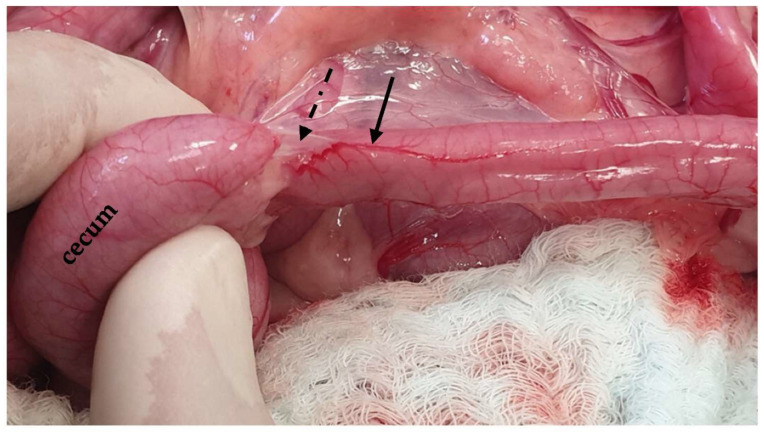 Figure 15