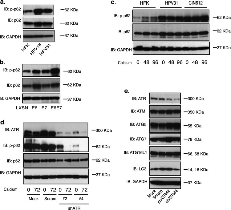 FIG 3