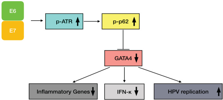 FIG 7