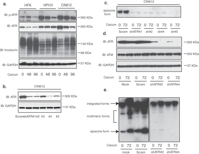 FIG 1