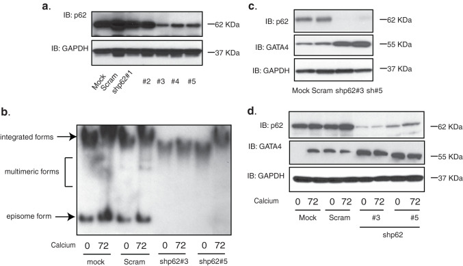 FIG 4