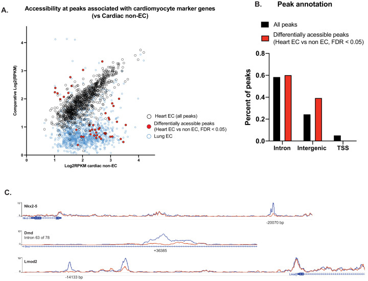 Figure 4—figure supplement 1.