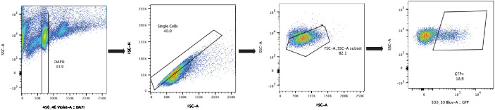 Figure 3—figure supplement 1.