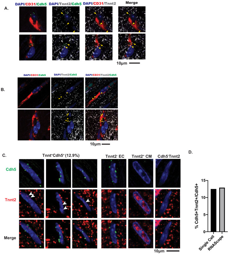 Figure 3—figure supplement 2.