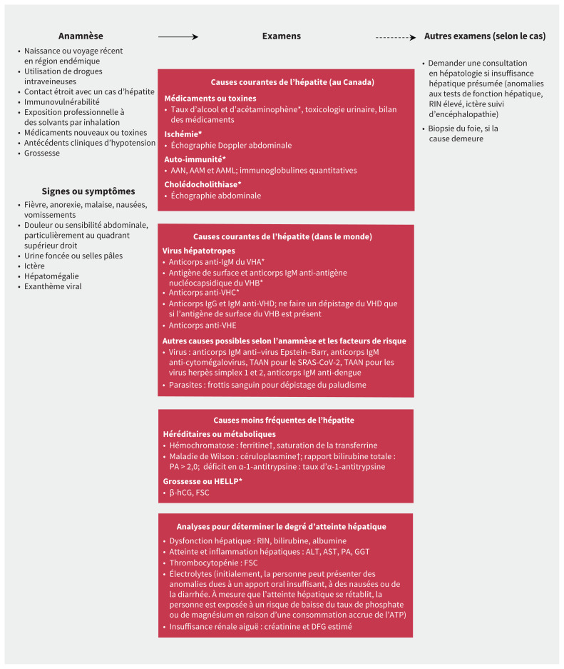 Figure 1 :