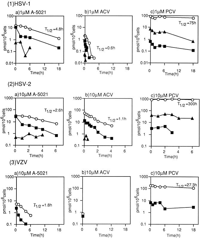 FIG. 6