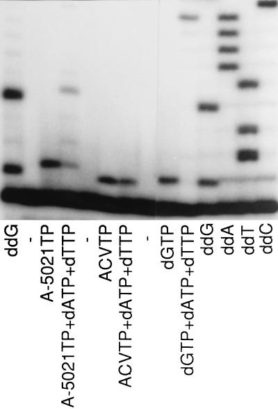 FIG. 8