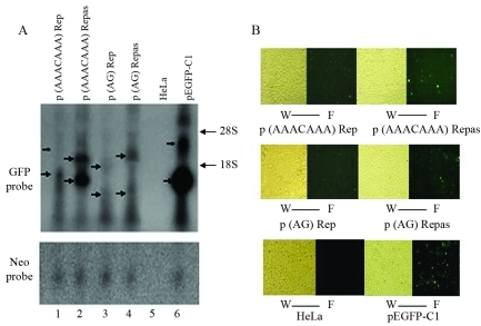 Figure 3