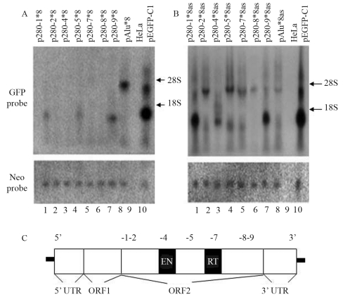 Figure 2