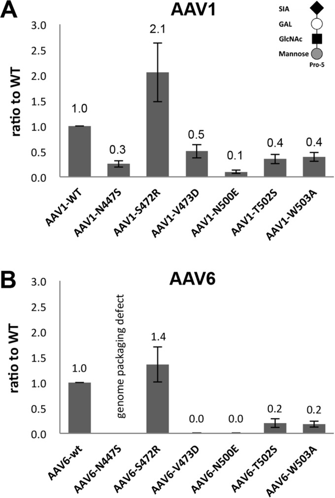 FIG 3