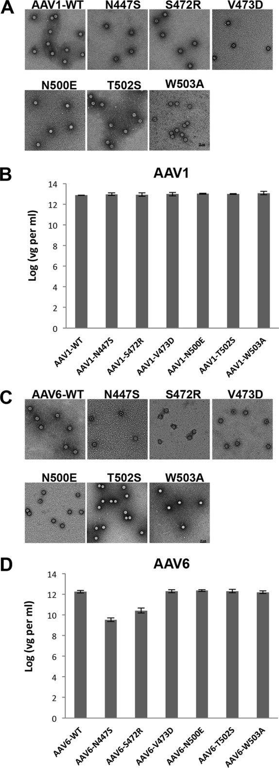 FIG 2