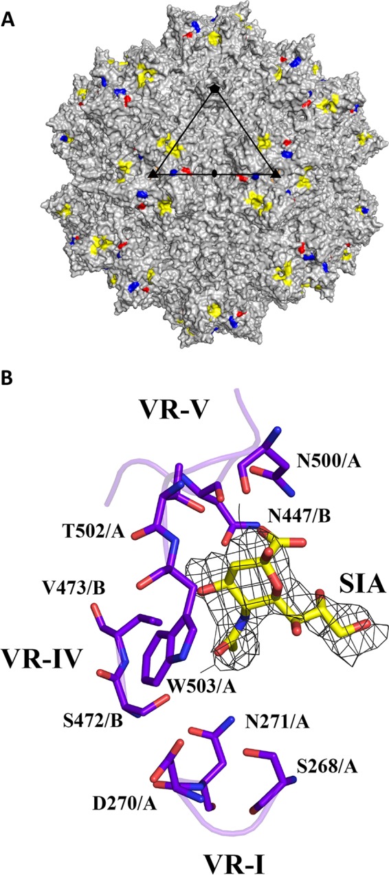 FIG 1