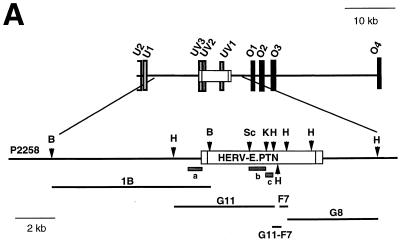 FIG. 1